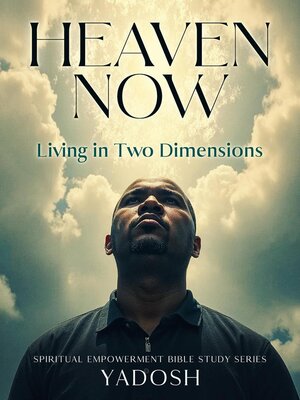 cover image of Heaven Now